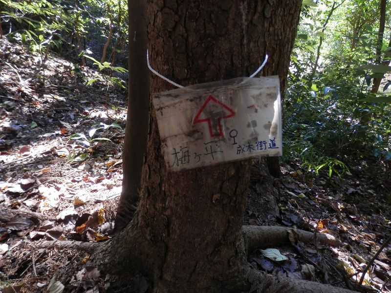 黄楊峠から成木六丁目に下りられそうだ