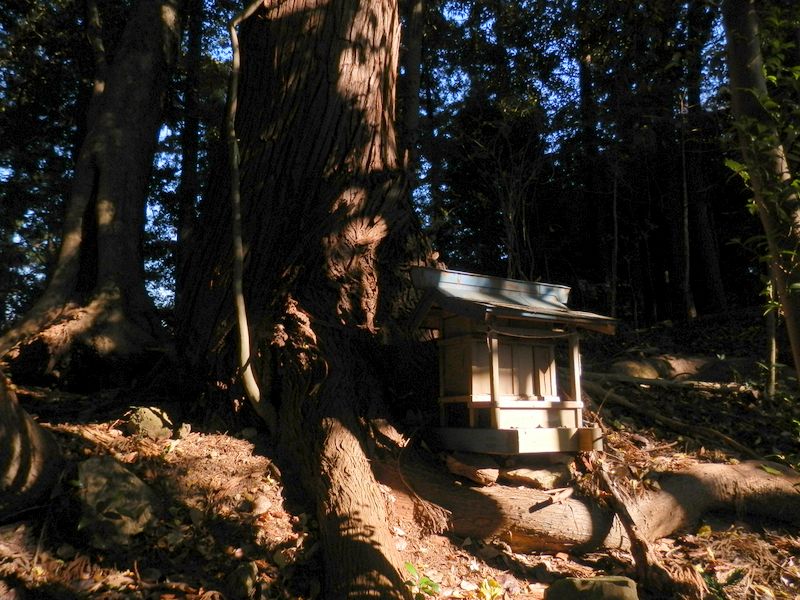 黄楊峠の木造祠