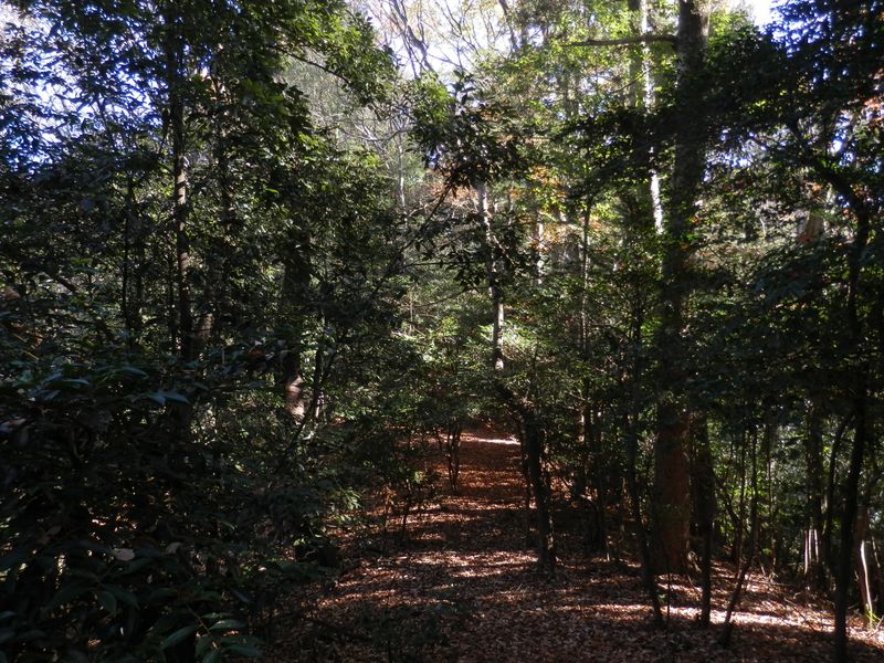 地図を落としたことに気付いた