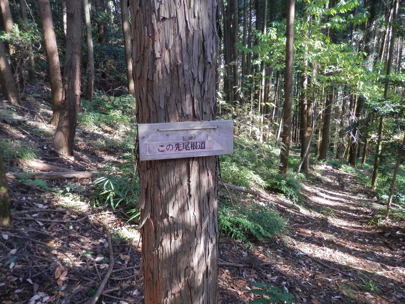 これより、採石場の迂回路