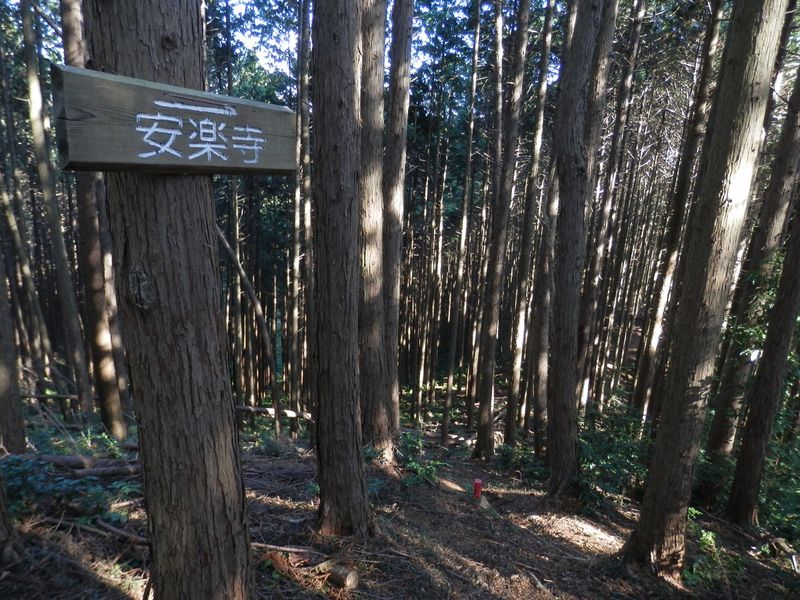 赤い杭を追って