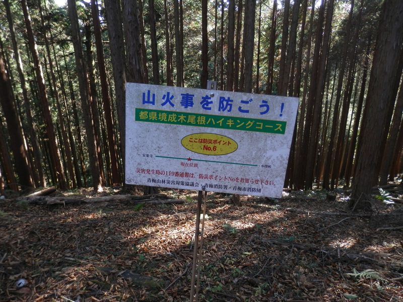 防災ポイントＮｏ．６