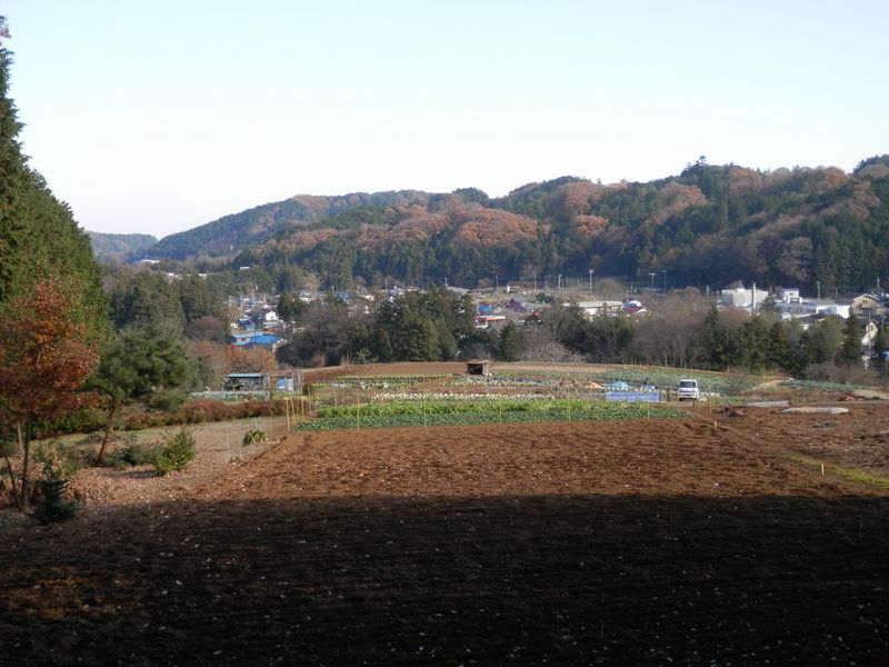 この畑地に下りてきた