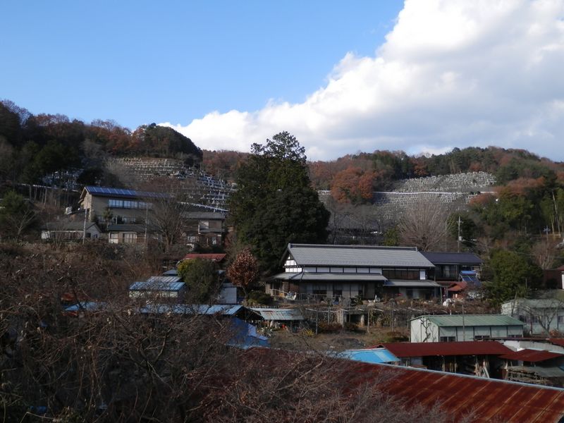 大多摩霊園が見える