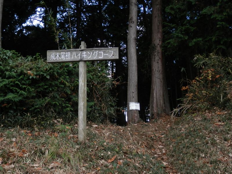 成木尾根 -- 本来は、ここに下りて来るはずだった