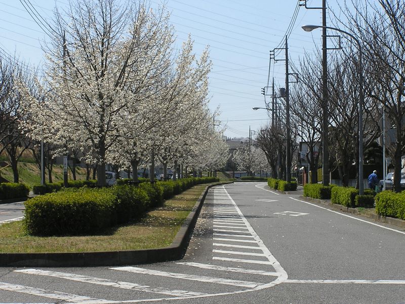恩田駅から西に見えるあかね台に向かう