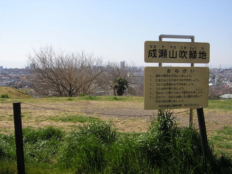 成瀬尾根 -- 都県境の成瀬尾根に到着