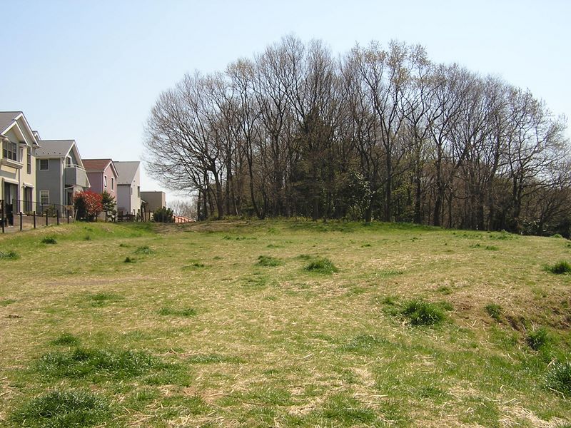 成瀬尾根の最高点と思われる林