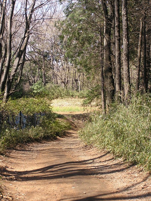 これより尾根道に入り、北に進む