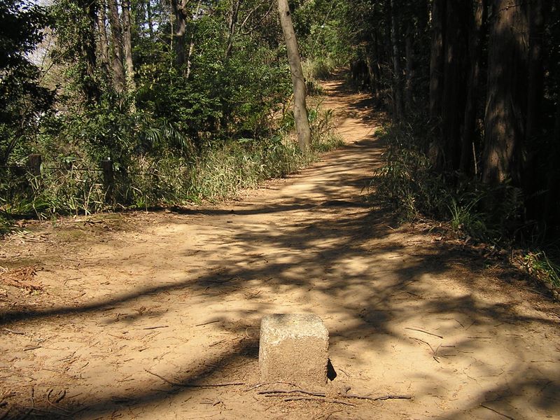 都県境の標石が点々と