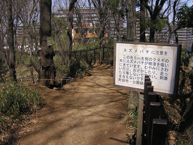 右が横浜市青葉区、左が東京都町田市