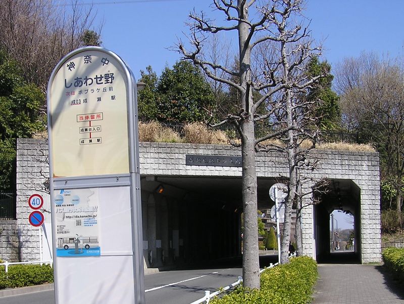 成瀬尾根 -- 成瀬尾根トンネル