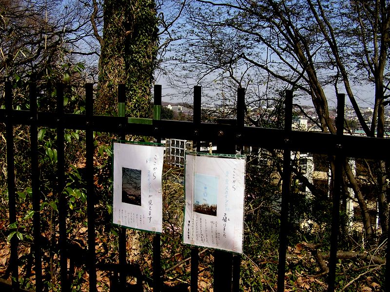 東京スカイツリーのビューポイント