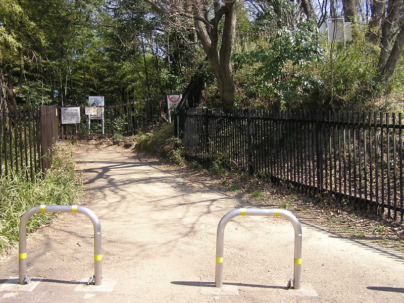 ここから左手の舗装された道を歩く