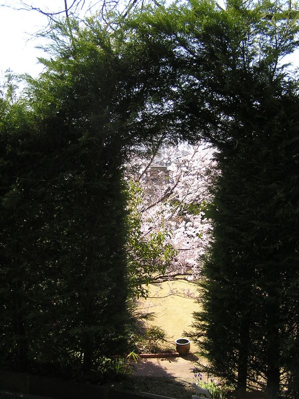 ある民家のすてきな出入口