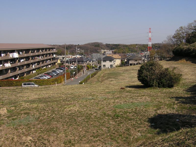 成瀬尾根 -- 奈良谷戸橋からこどもの国の森を望む