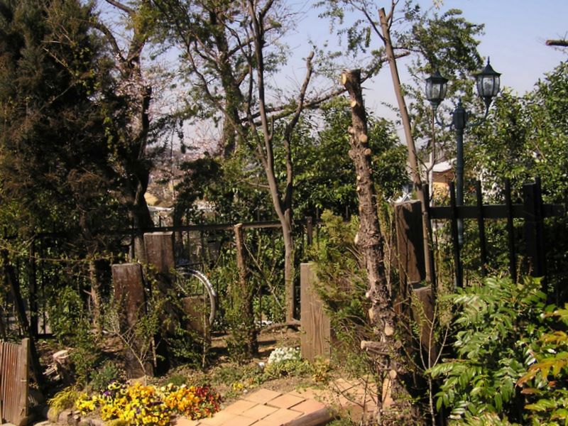 ある民家の出入口