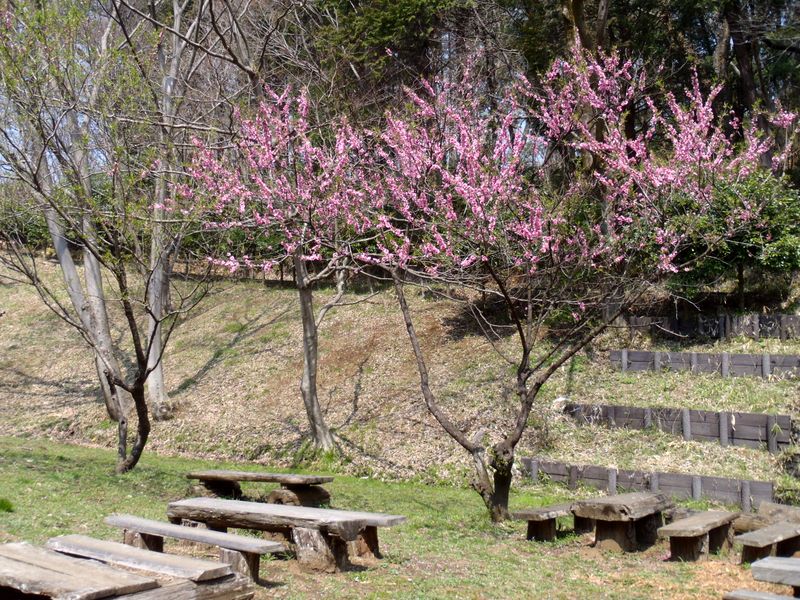 あちこちに休憩所