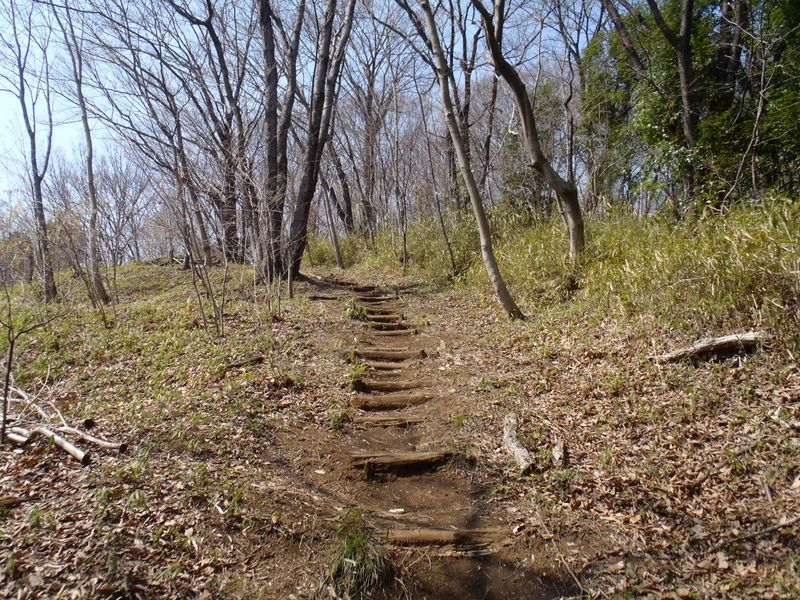 きょうは暖かい