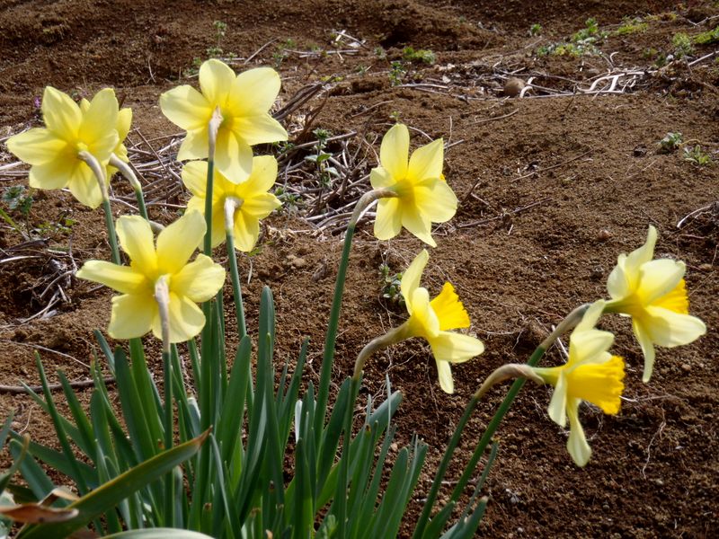 うしろ姿も見て