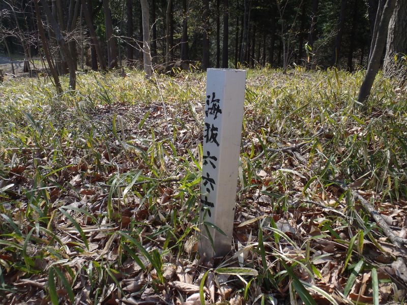 丸山は海抜66.6m