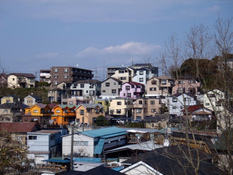 純和風の家屋が見当たらない