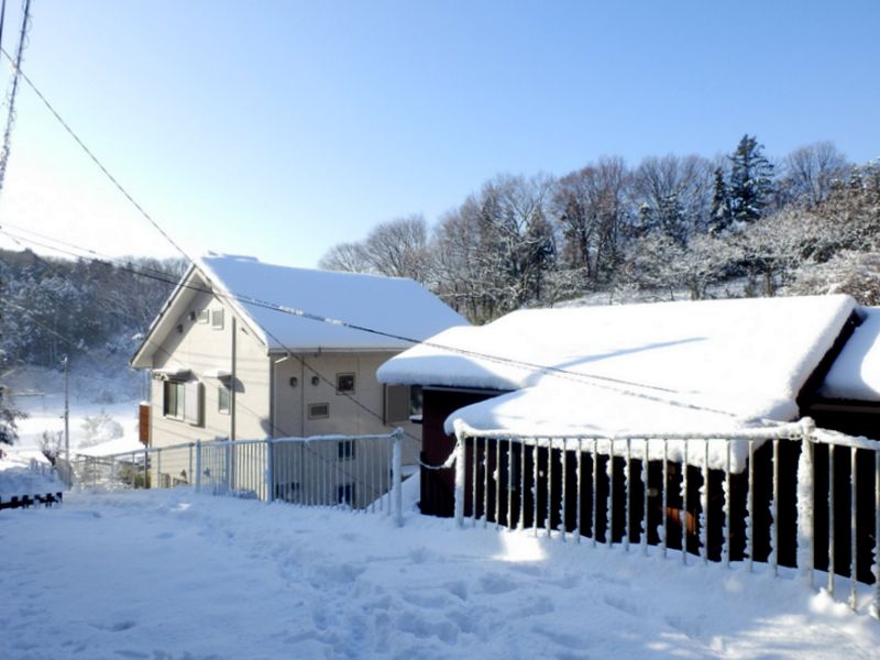石段を下りて新治市民の森へ