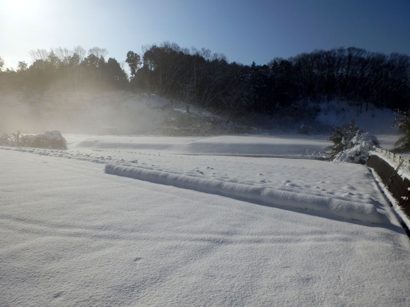 畑地に霧が立ち昇る