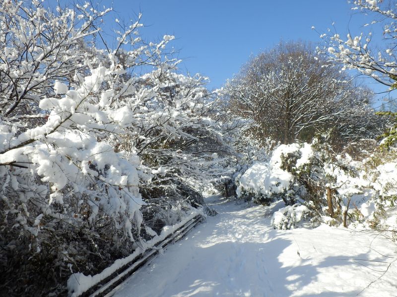 谷戸田に行って見よう
