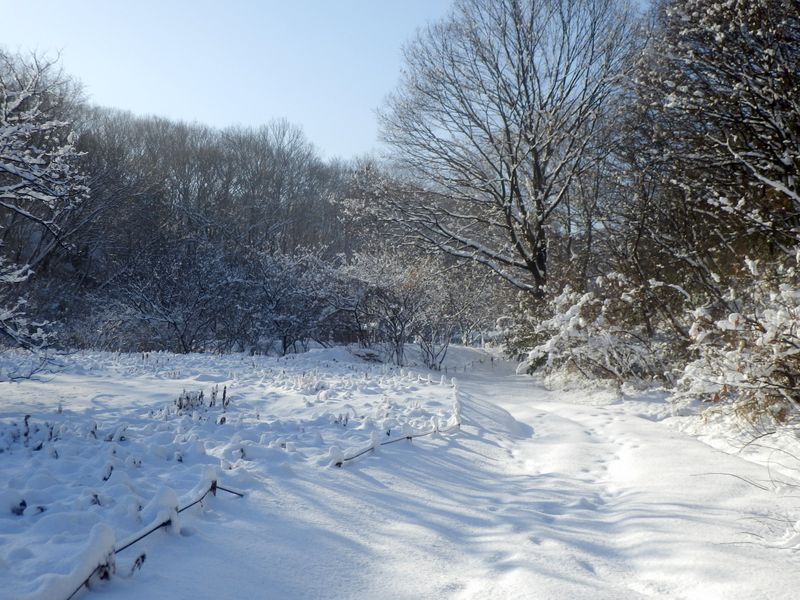 ここで引き返す