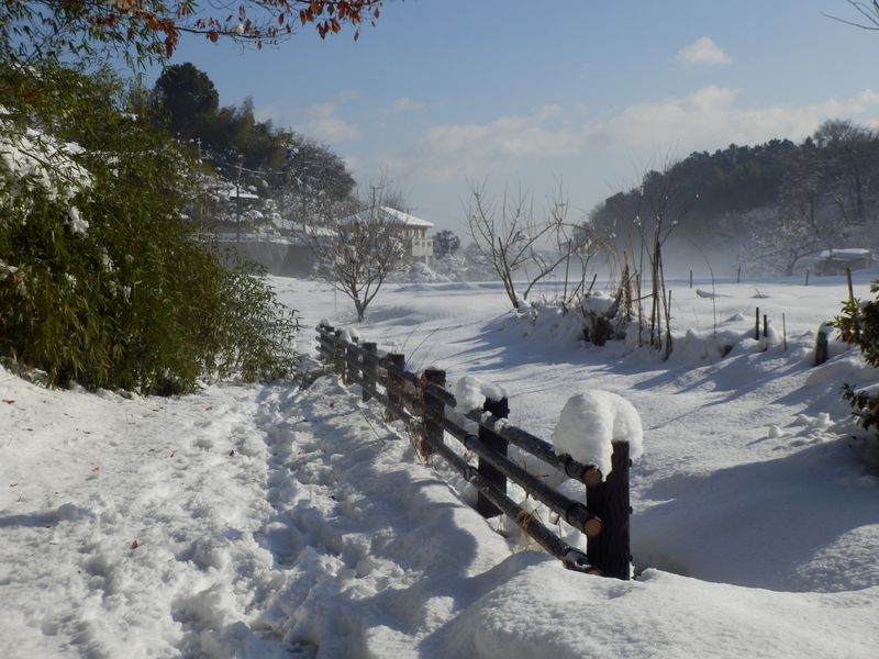 水路（右）に落ちないように