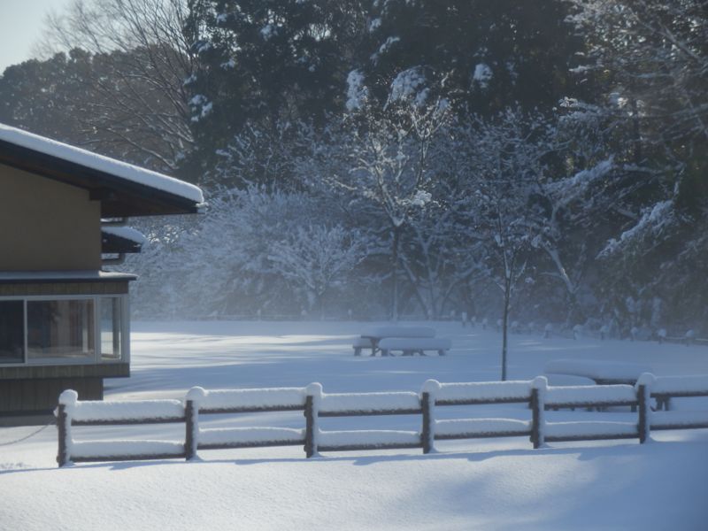 ベンチとテーブルの積雪