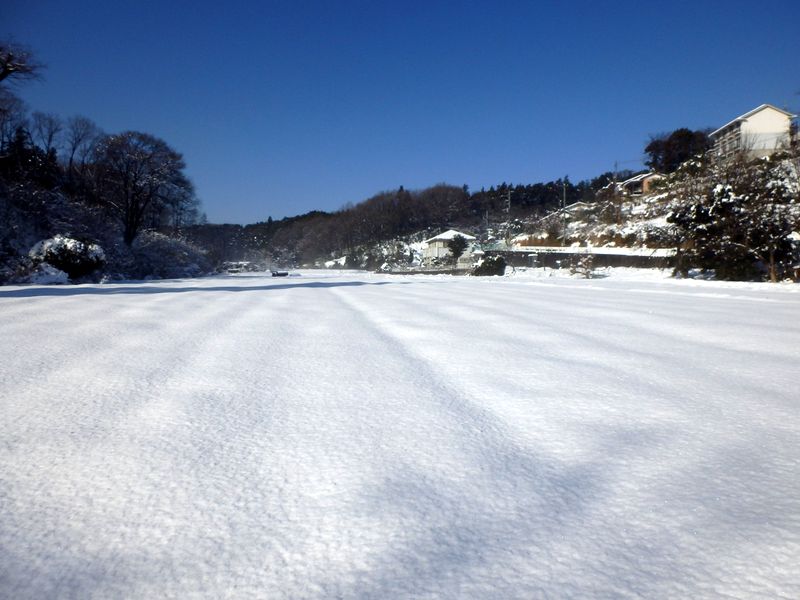 誰も歩いてない畑地