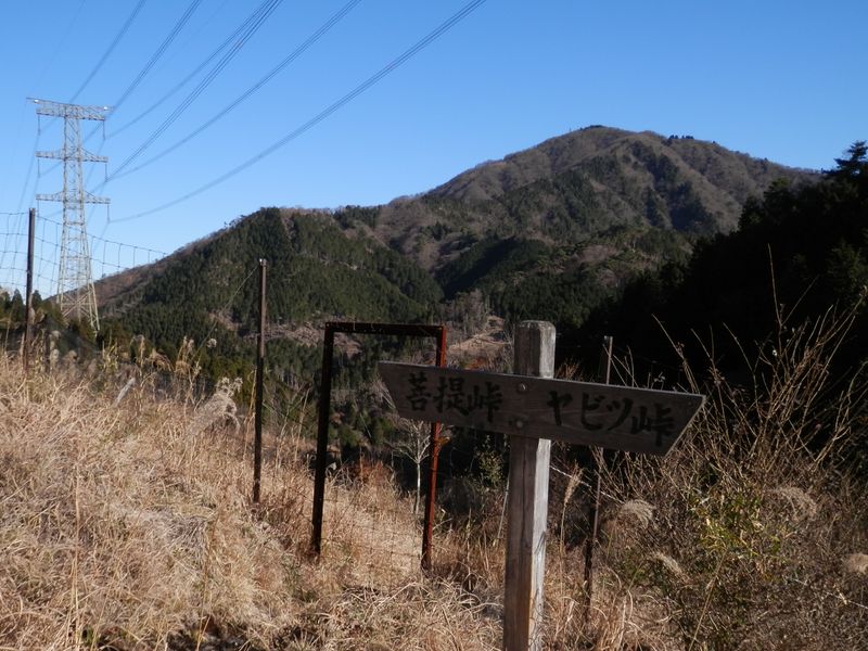 草原状の道より、大山と春岳山を望む