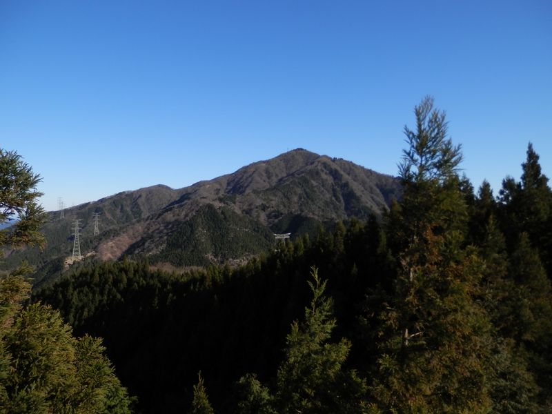 岳ノ台展望台より大山