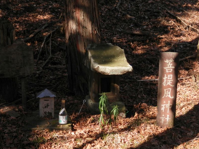 菩提風神社の祠