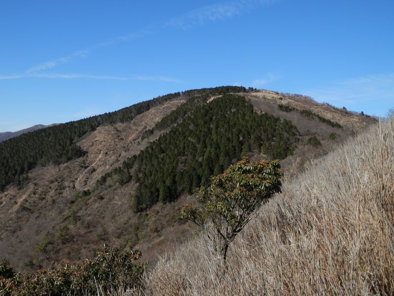 二ノ塔尾根より望む三ノ塔の美しい山容