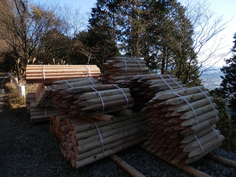 表丹沢林道に置かれていた杭