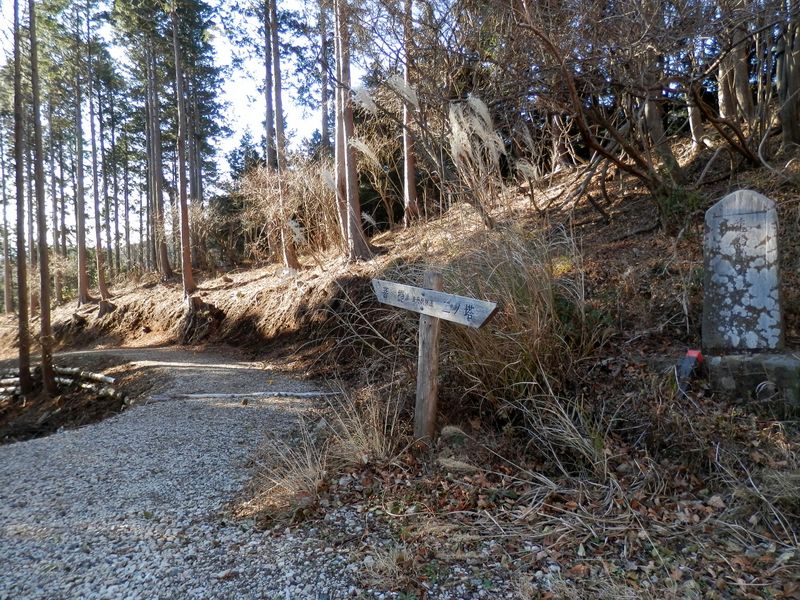 これよりしばらく林道を歩く