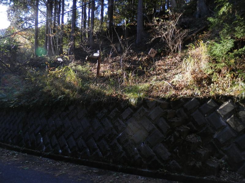 この石段を下りると、後はバス停まで舗装道路を歩く