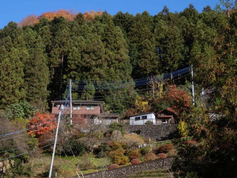玉垣も見える、白岩の山里