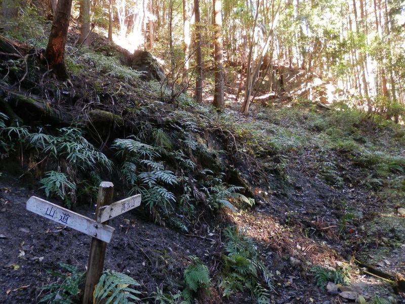 この道標で右折し、高水山登山道に入る