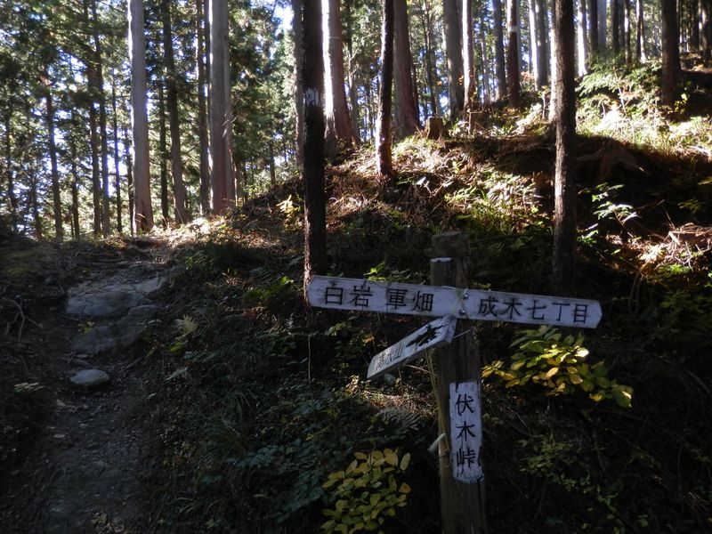 "伏木峠" に到着