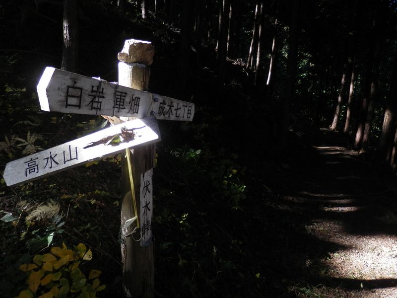 これより成木七丁目方面に進む