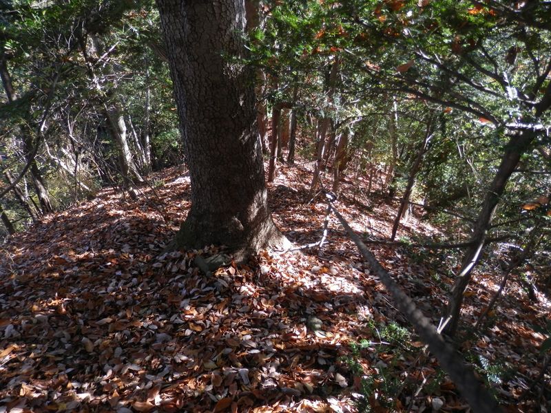 足の滑りそうな急降下