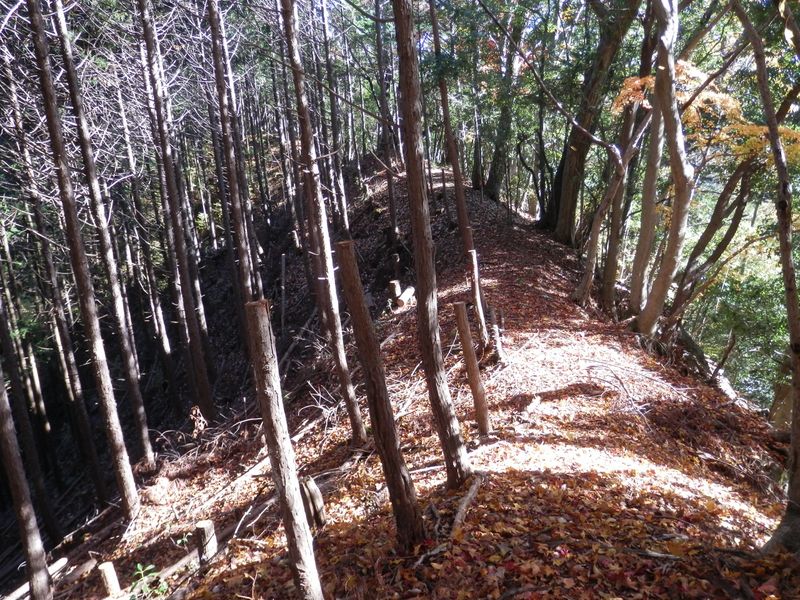 急降下が終わってほっとする