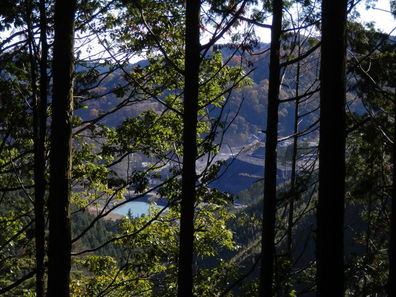 樹間に、採石場の水溜りが見えた