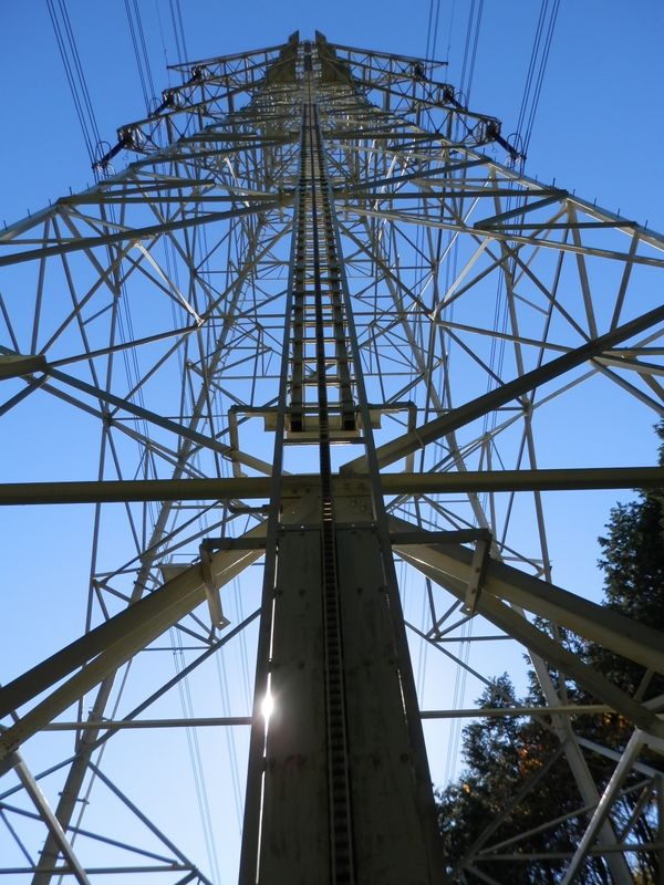 一つ間違えば、絶叫マシーン