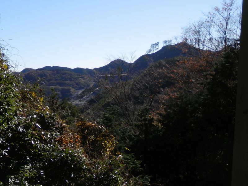 鉄塔下より、青梅丘陵ハイキングコースを望む