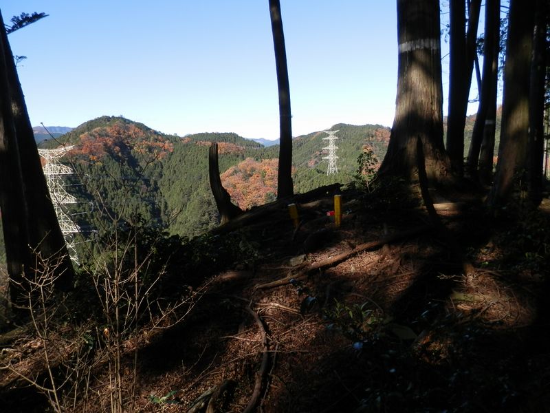 ノボリオイゾネ428m峰に到着